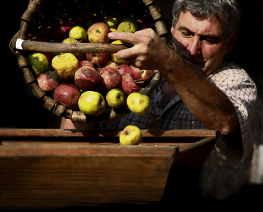 Experience of cider culture