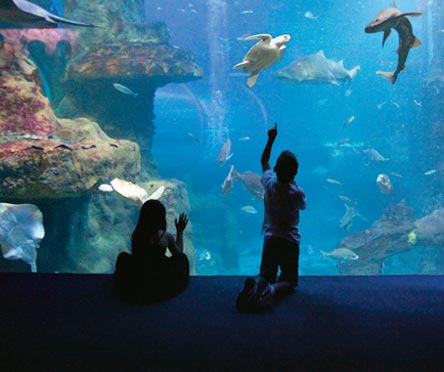 The San Sebastián Aquarium