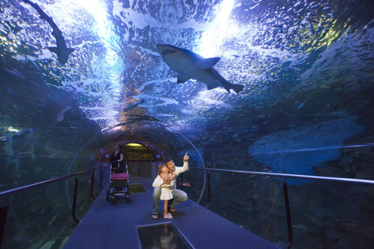 Aquarium