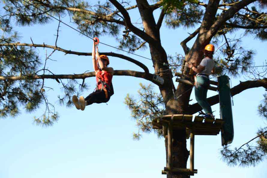 CANOPY DONOSTI AVENTURA